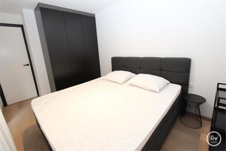 Appartement Spacieux A Knokke Εξωτερικό φωτογραφία